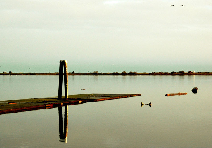 ESQUIMALT LAGOON