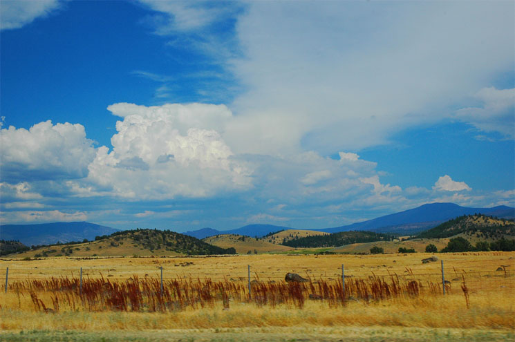 ROADSIDE DISTRACTION