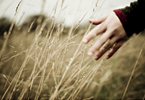 REJOICING IN THE HANDS NO.2