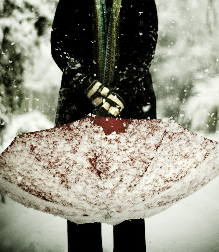 REPRISE: STILLNESS IN THE SNOW
