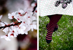 CHERRY BLOSSOM GIRL