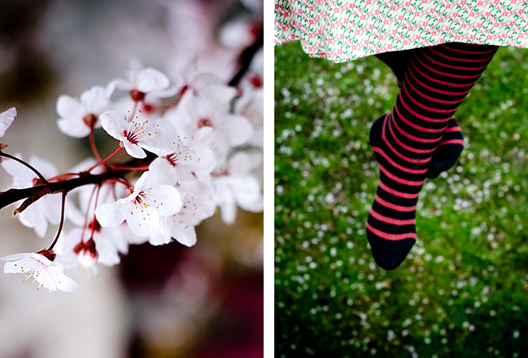 CHERRY BLOSSOM GIRL