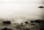 THE STILLNESS