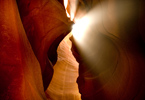 IN THE CANYON