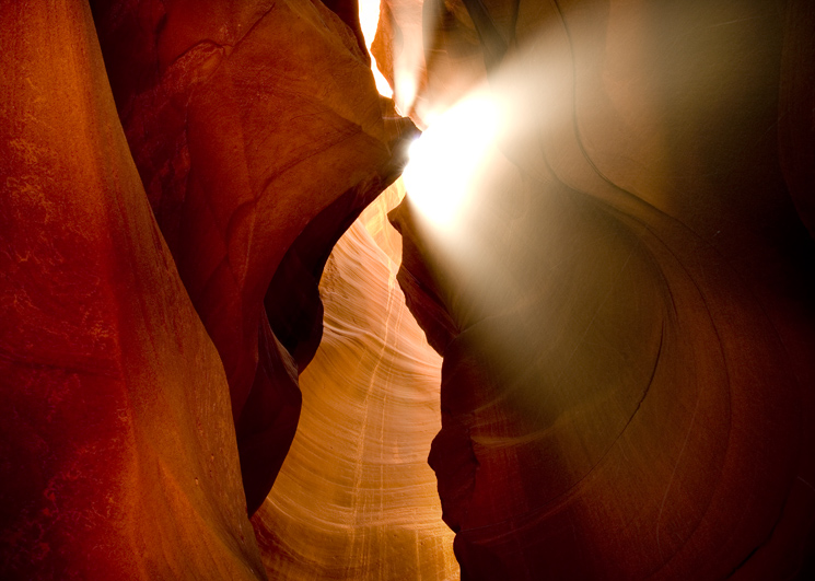 IN THE CANYON