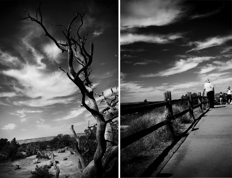 PAGEANT OF THE ABSURD