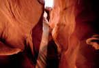 BACK TO THE CANYON