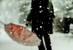 SNOW-DAY REDUX NO.2