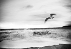 BREAKING THE WAVES