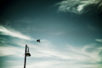 FLIGHT MINIMA