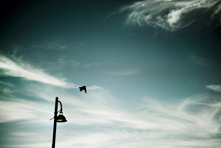FLIGHT MINIMA