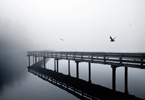 SAFE PASSAGE