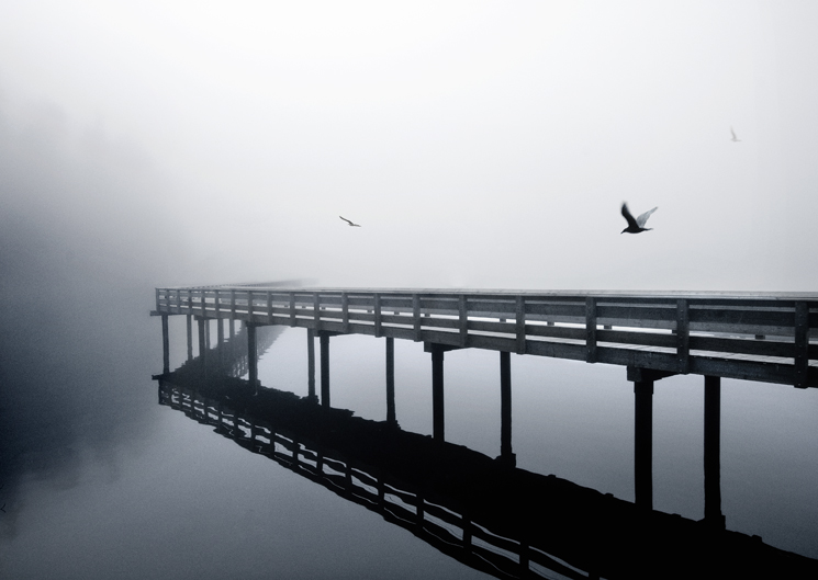 SAFE PASSAGE