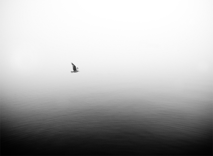 ANEW