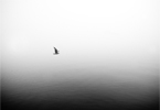 ANEW